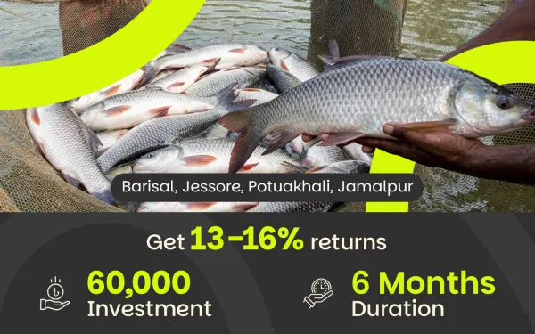 Rui Fish Rearing
